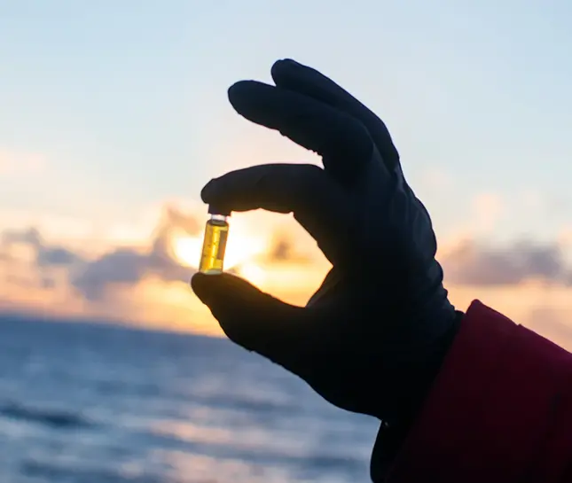 Zero petrol sustainability