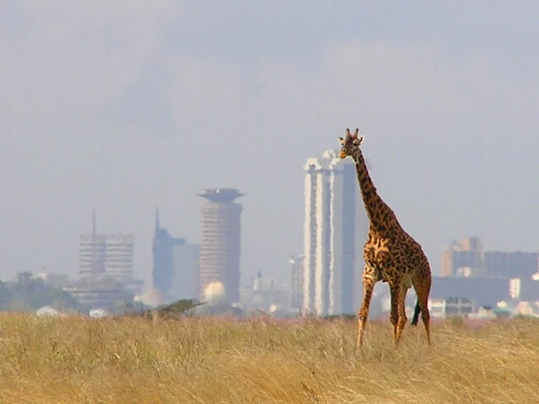 Nairobi Jomo Kenyatta International Airport (HKJK / NBO)